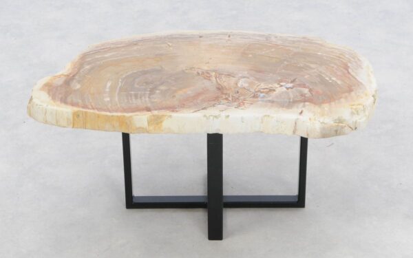 Coffee table petrified wood 46170