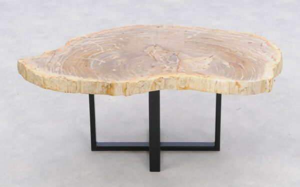 Coffee table petrified wood 46173