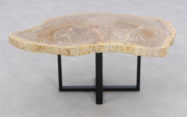 Coffee table petrified wood 46174