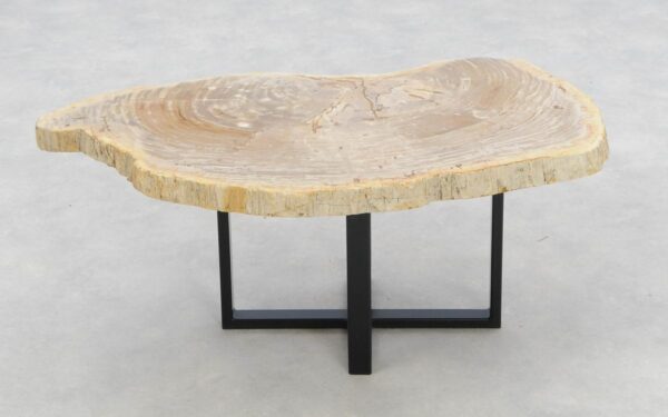 Coffee table petrified wood 46175
