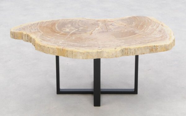 Coffee table petrified wood 46176