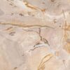 Coffee table petrified wood 46176