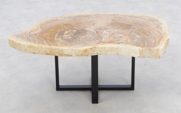 Coffee table petrified wood 46177