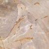 Coffee table petrified wood 46177