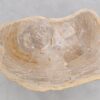 Coffee table petrified wood 46178