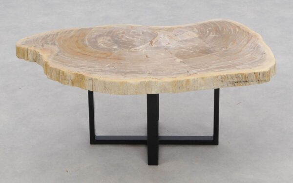 Coffee table petrified wood 46178