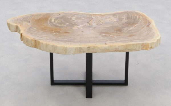 Coffee table petrified wood 46179