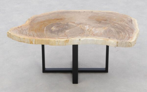 Coffee table petrified wood 46180
