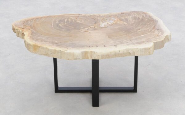 Coffee table petrified wood 46181