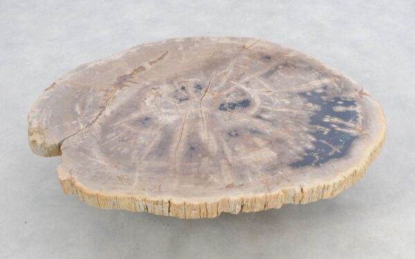 Coffee table petrified wood 46183