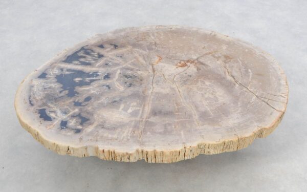 Coffee table petrified wood 46184