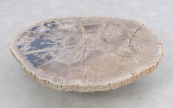 Coffee table petrified wood 46185