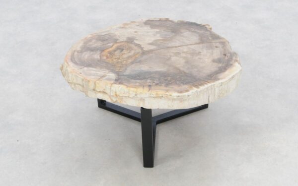 Coffee table petrified wood 46187