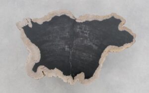 Coffee table petrified wood 46204a