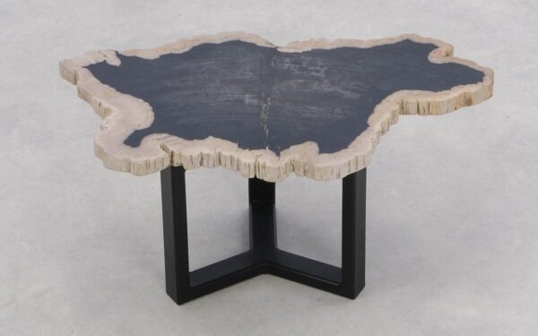 Coffee table petrified wood 46204a