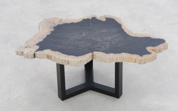 Coffee table petrified wood 46204a