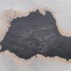 Coffee table petrified wood 46204a
