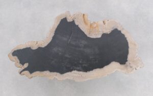 Coffee table petrified wood 46204b