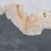 Coffee table petrified wood 46204b