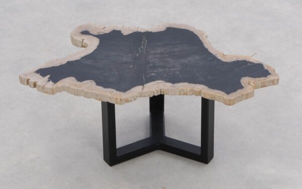 Coffee table petrified wood 46204c