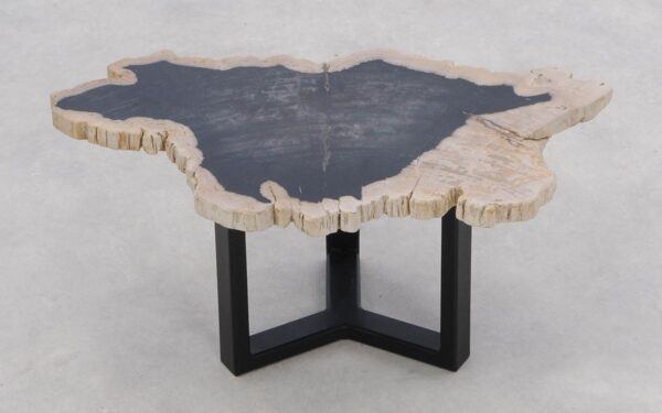 Coffee table petrified wood 46204d
