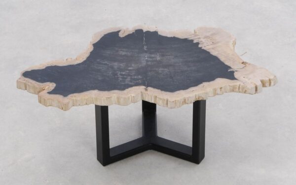 Coffee table petrified wood 46204d