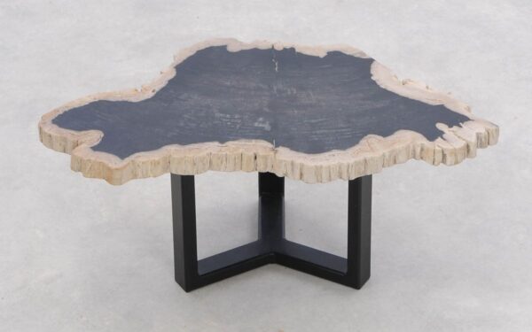 Coffee table petrified wood 46204e