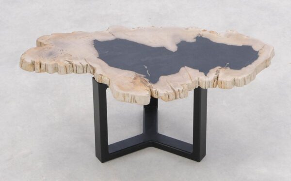 Coffee table petrified wood 46204f