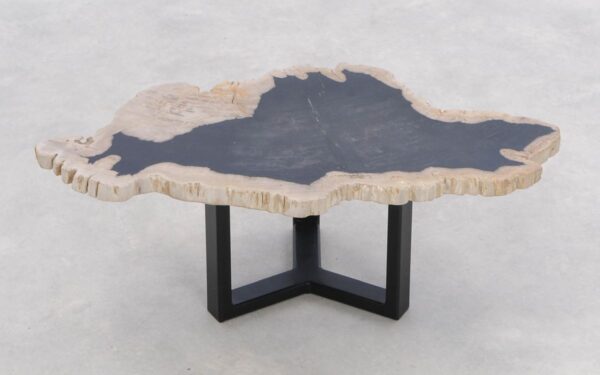Coffee table petrified wood 46204g