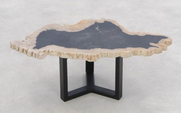 Coffee table petrified wood 46204h