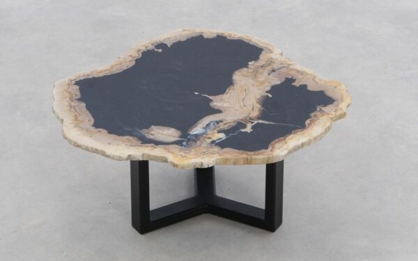 Coffee table petrified wood 46205