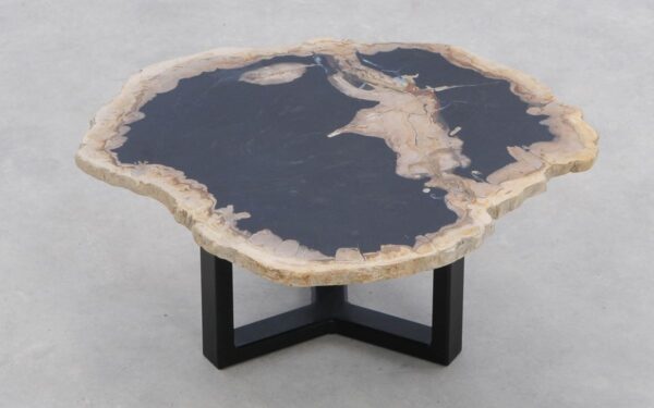 Coffee table petrified wood 46205