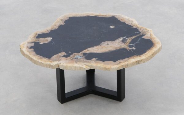 Coffee table petrified wood 46206