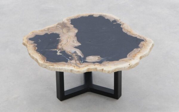 Coffee table petrified wood 46207