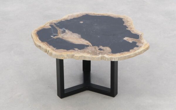Coffee table petrified wood 46208