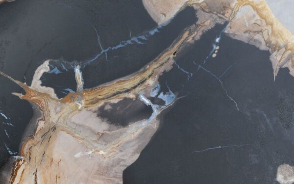 Coffee table petrified wood 46208