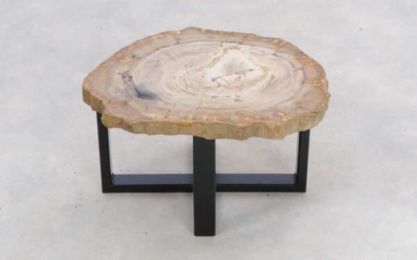 Coffee table petrified wood 47114