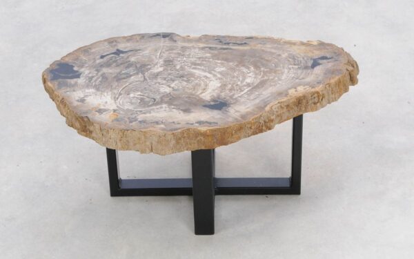Coffee table petrified wood 47116