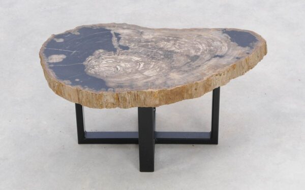 Coffee table petrified wood 47117