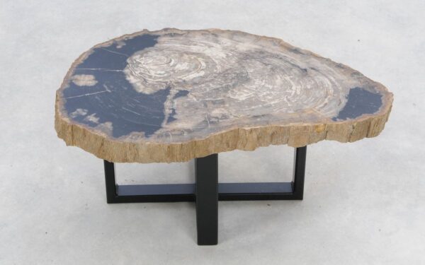 Coffee table petrified wood 47118
