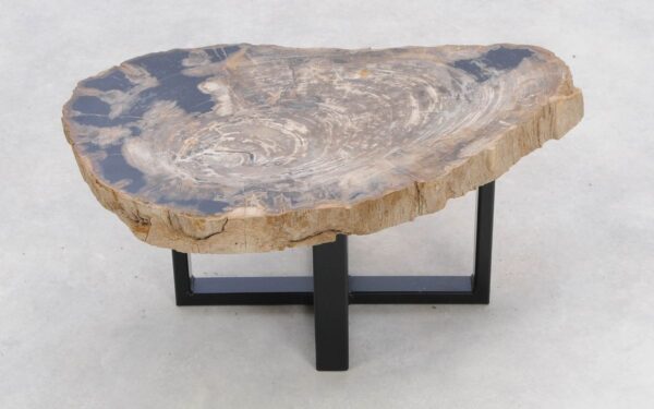 Coffee table petrified wood 47119