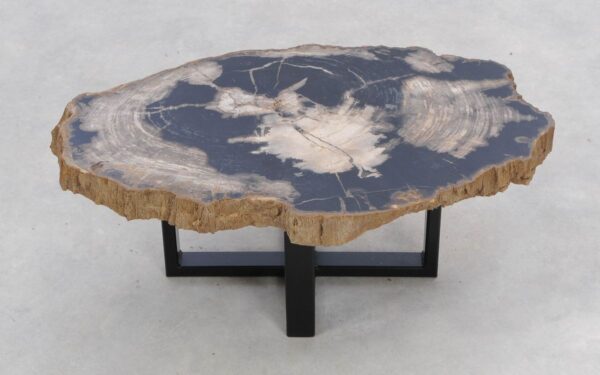 Coffee table petrified wood 47120
