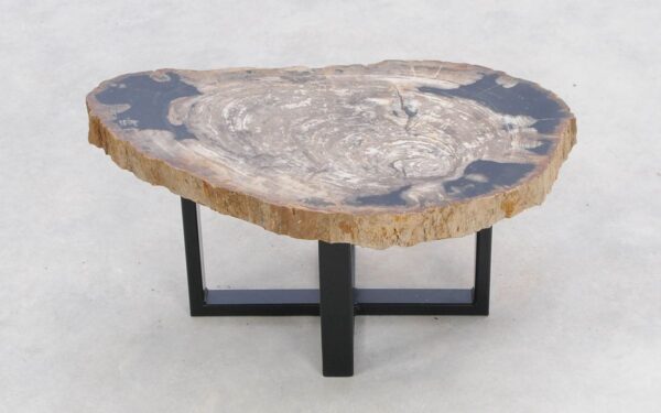 Coffee table petrified wood 47121