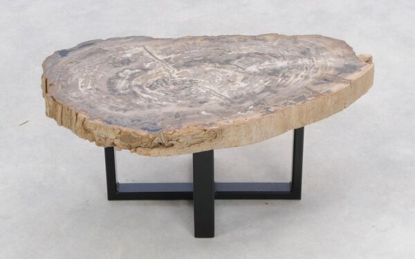 Coffee table petrified wood 47123