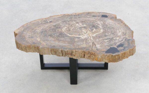 Coffee table petrified wood 47124