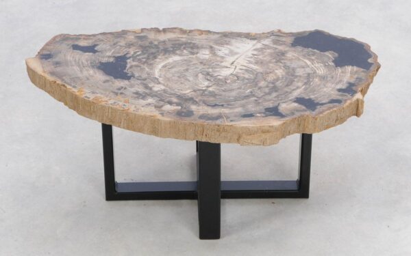 Coffee table petrified wood 47125