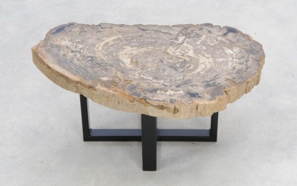 Coffee table petrified wood 47127