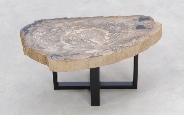 Coffee table petrified wood 47128