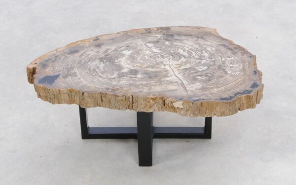 Coffee table petrified wood 47129