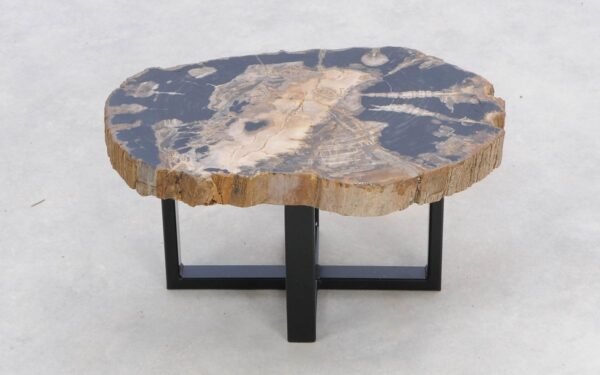 Coffee table petrified wood 47130